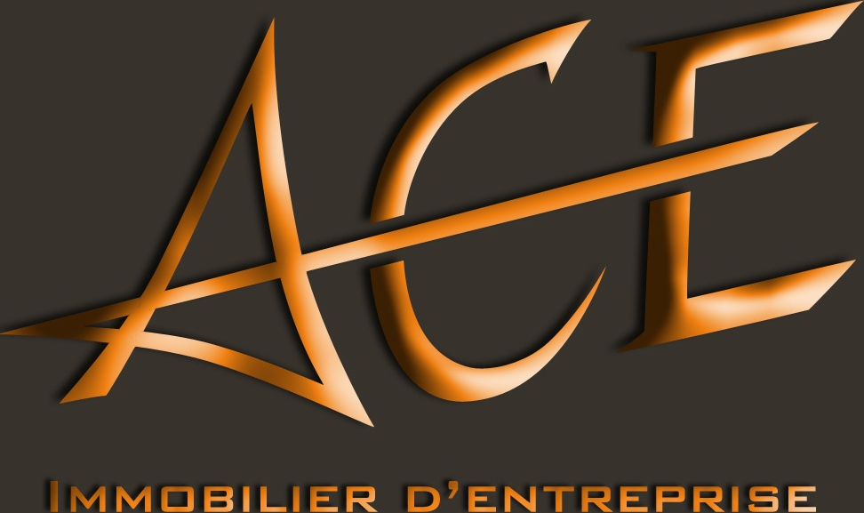 ACE, Immobilier d'entreprise